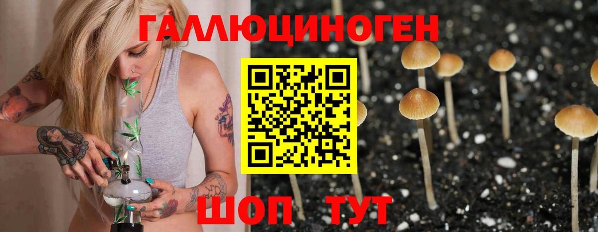 Псилоцибиновые грибы прущие грибы  Галлюциногенные грибы прущие грибы  Вход с VPN  Гусь-Хрустальный 